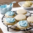 Almond Sugar Cookies