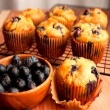 Paleo Blueberry Muffins
