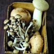 Roasted Mushroom Broth