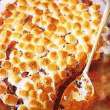 Sweet Potato Casserole (with raisins, orange, pecans, pineapple and marshmallows)