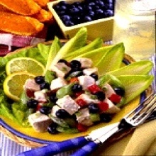 Lemon Blueberry and Chicken Salad with Yogurt Dressing