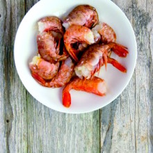 Shellfish Stock